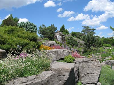 Botanical Gardens in Montreal